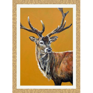 Royal Stag Royal Stag